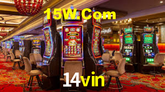 14vin App Interface