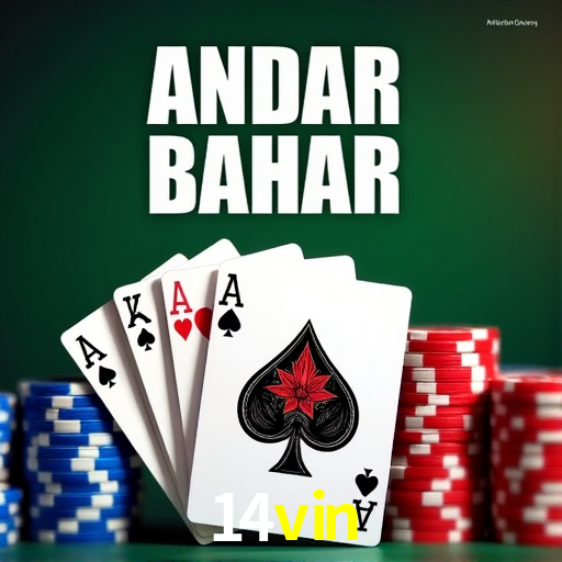 VIP Casino 14vin