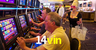 14vin.com